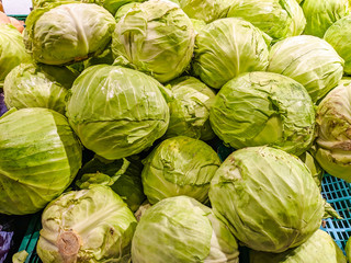 Good looking and fresh cabbage vegetable for delicious salads and meals, stacked in the supermarket shop to be sold.