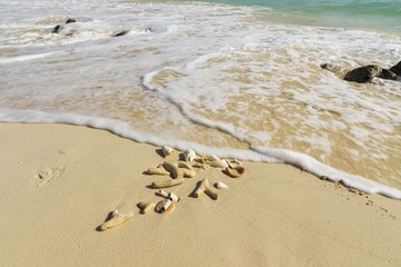 Beautiful seascape view. Shells and fancy pebbles on white sand and turquoise rolling waves on background. Atlantic ocean. 