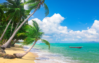 Obrazy  plaża i palmy kokosowe. Koh Samui, Tajlandia