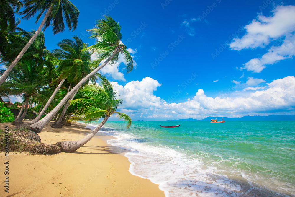 Wall mural beach and coconut palm trees. koh samui, thailand