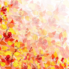 Fototapeta na wymiar background of branches with yellow leaves and red berries watercolor