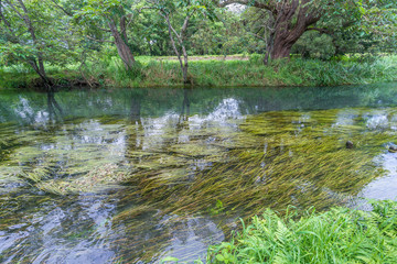 Sai river (犀川) near the Daio Wasabi Farm in Azumino, Nagano Prefecture, Japan