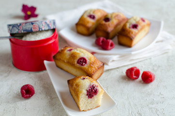Financier cakes with raspberry and coconut flakes on white plate on light background