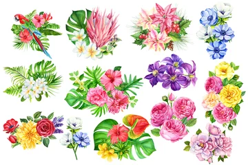 Plexiglas foto achterwand tropical plants, summer bouquets flower on an isolated white background, watercolor illustration, botanical painting, monstera, plumeria, clematis, protea, roses, anthurium, anemones © Hanna