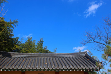 기와집옆 대나무