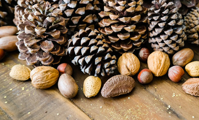 Christmas concept composition.