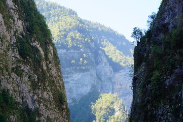 Nature photos. Forest mountain ranges.  Landscape in summer. Journeys.