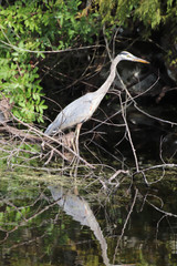 Beautiful locations on Naples - Fl