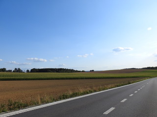 Village Road in the middle of corn field