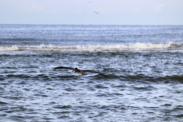 Obraz premium Beautiful locations on Naples - Fl