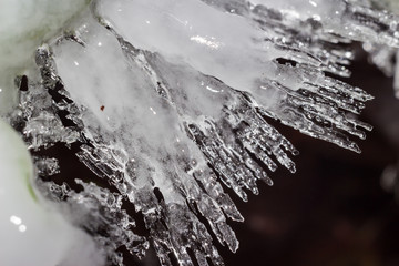 Sharp ice growths on grass and plants close-up