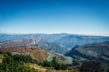 Naklejka premium foliage in dolomiti