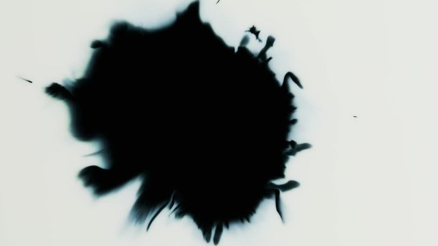 Black paint or ink drops on a white background. Black drop of ink. Ink runs on a white background with circle flow expand