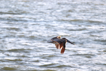 Beautiful locations on Naples - Fl