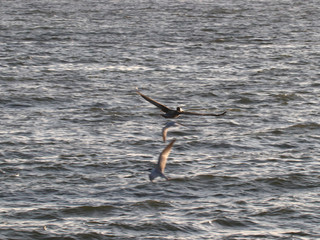 Beautiful locations on Naples - Fl