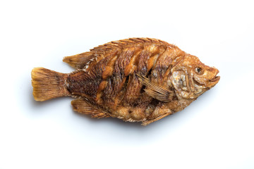 Deep fried red tilapia isolated on white background