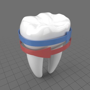 Stylized molar tooth with arrows 1