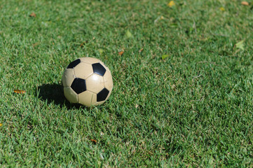 classic soccer ball on a green field