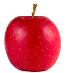 .red apple on a white background