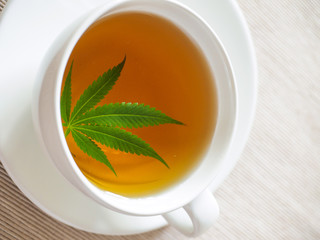 tea with marijuana. Cannabis leaf is brewed in herbal decoction to treat pain and increase appetite. concept of marijuana use for medicinal purposes.