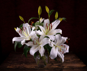 Fototapeta na wymiar Blooming white lily flower buds (Lilium Samur) in vase on dark background. Close up, macro.