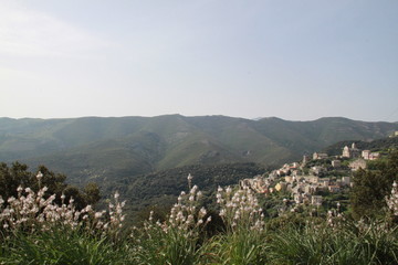Paysage Cap Corse