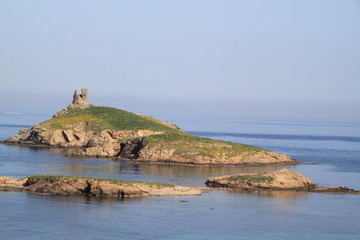 Tour gênoise 