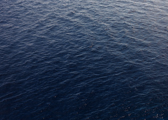 Blue sea surface with waves