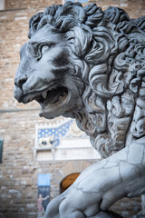 Lion at Loggia dei Lanzi, Piazza della Signoria, Florence, Italy