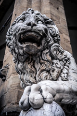 Lion at Loggia dei Lanzi, Piazza della Signoria, Florence, Italy
