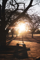 Nature Photos Plant Flowers Landscape