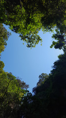 rees Naturally Making A Heart Shape