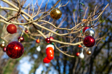 Christbaumkugeln Dekoration Deko hängen im Garten am Busch Baum zu Weihnachten