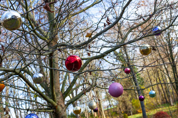 Christbaumkugeln im Garten als Deko zum Fest angehangen