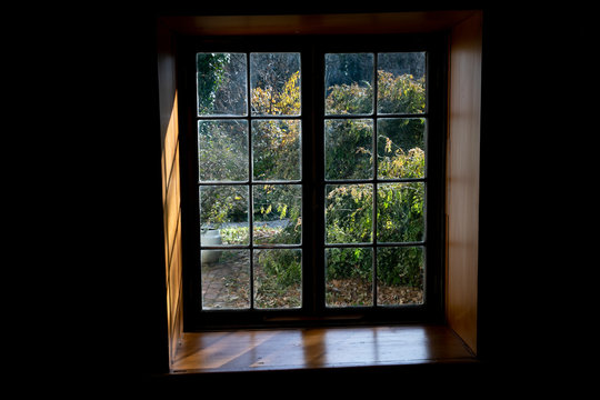 garden throw a window