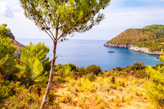Scenic landscape view from the overgrown rocky mountains of Cilento and Vallo di Diano National Park in Campania, Italy on hidden Cala Bianca beach surrounded by rocks in Tyrrhenian sea