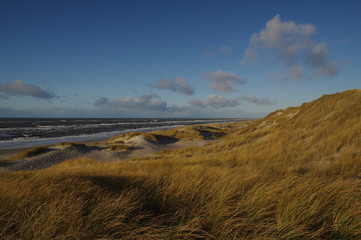 Dänemarks Nordseeküste