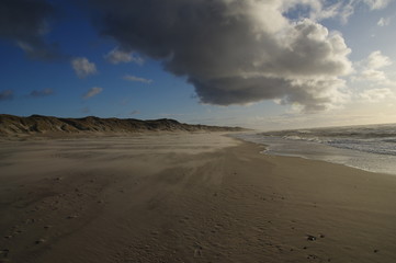 Fototapeta na wymiar Sandstrand in Dänemark