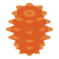 Winter pine cone icon. Isometric of winter pine cone vector icon for web design isolated on white background