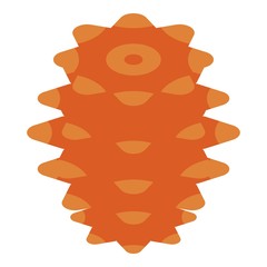 Winter pine cone icon. Isometric of winter pine cone vector icon for web design isolated on white background