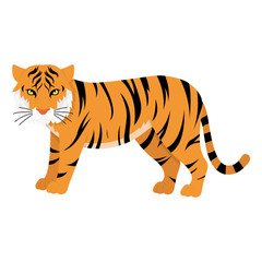 Asian bengal tiger, vector illustration