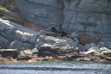 Sentier des douaniers