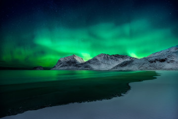 Fototapeta na wymiar Aurora Boreale Lofoten