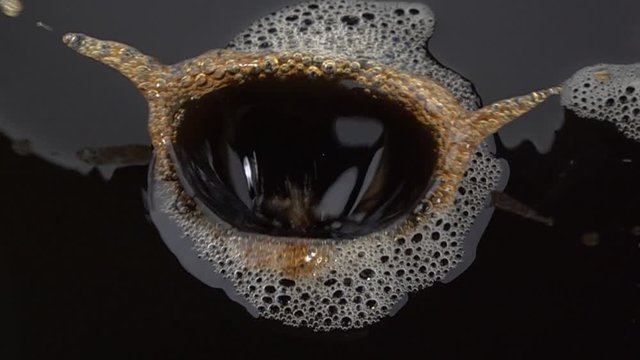 Coffee and Sugar Cubes In Slow Motion 3