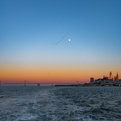 Fototapeta na wymiar Gold sunset over San Francisco Bay with full moon and birds