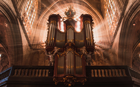 Interior Catedral
