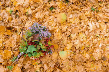 a bouquet, a photo on a sunny day against a background of lush green grass