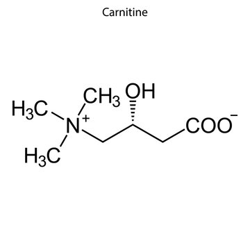 carnitine Skeletal formula of Chemical element