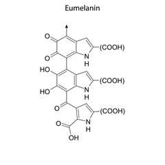 eumelanin Skeletal formula of Chemical element