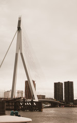 Obraz premium Roterdam landscape